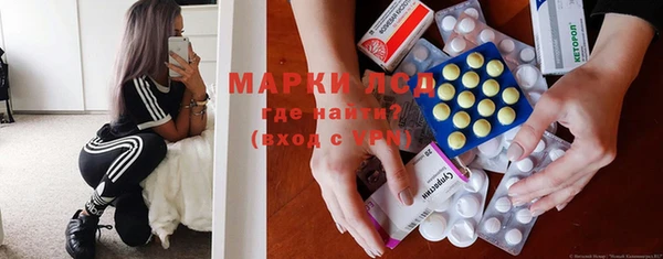 хмурый Абаза