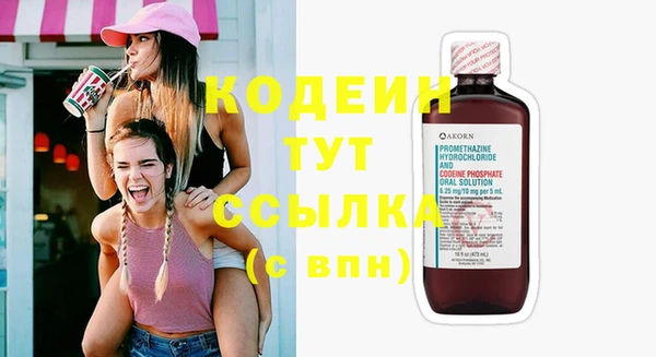 хмурый Абаза