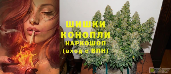 ГАЛЛЮЦИНОГЕННЫЕ ГРИБЫ Алзамай
