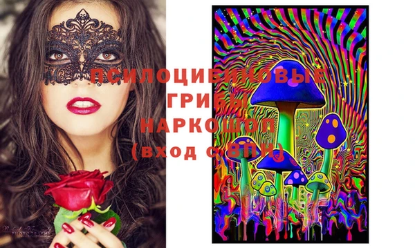 ГАЛЛЮЦИНОГЕННЫЕ ГРИБЫ Алзамай