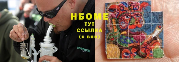 хмурый Абаза